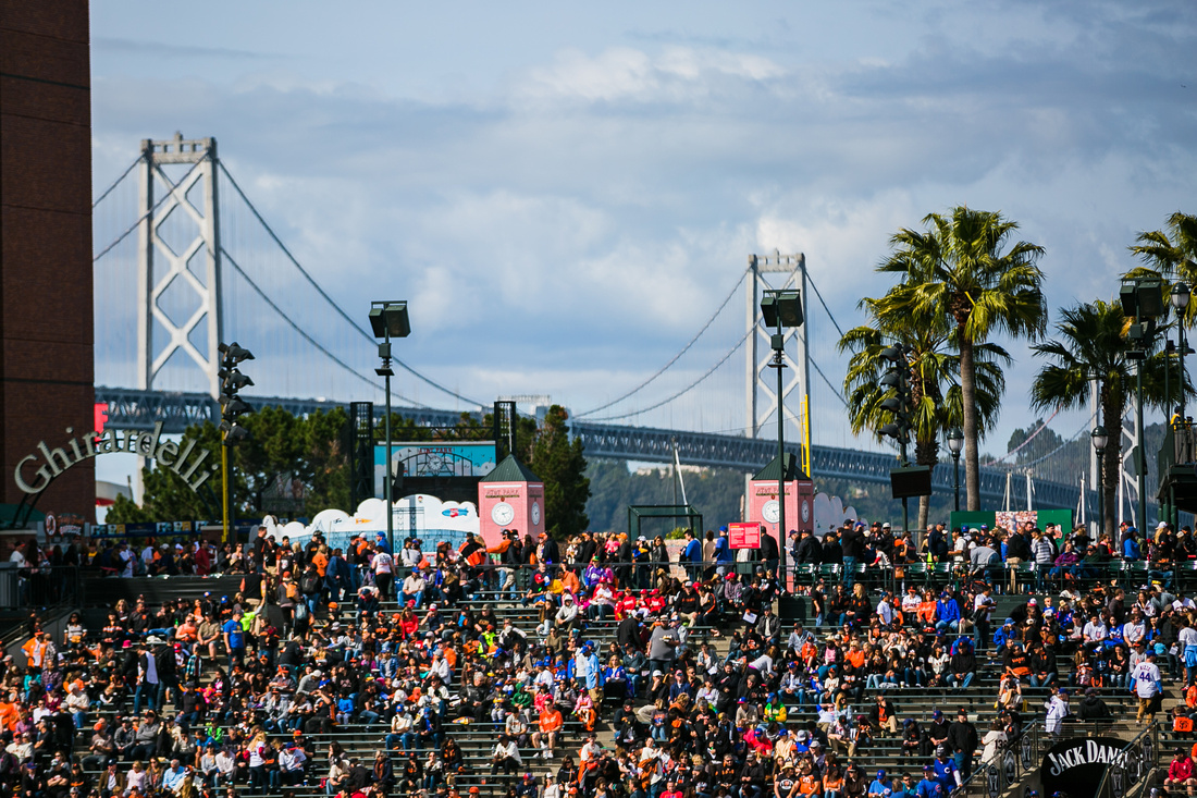 An Unforgettable Experience: Private Event at a Giants Game