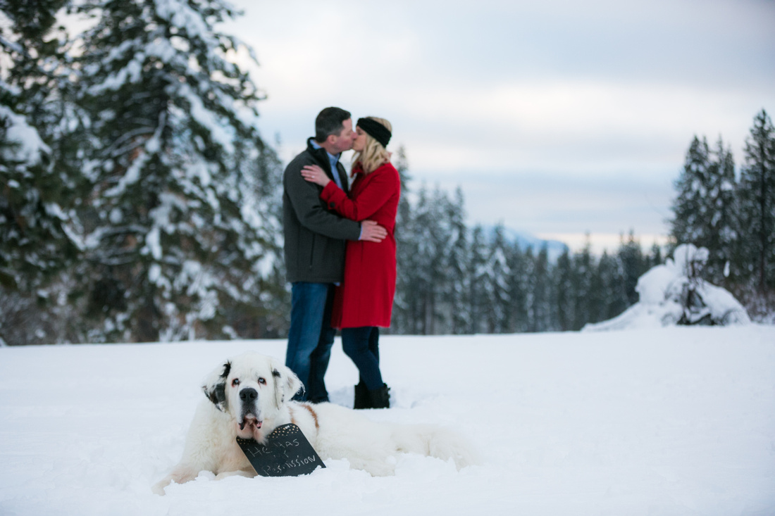 
Snow Engagement Session in Lake Tahoe - A Winter Wonderland
